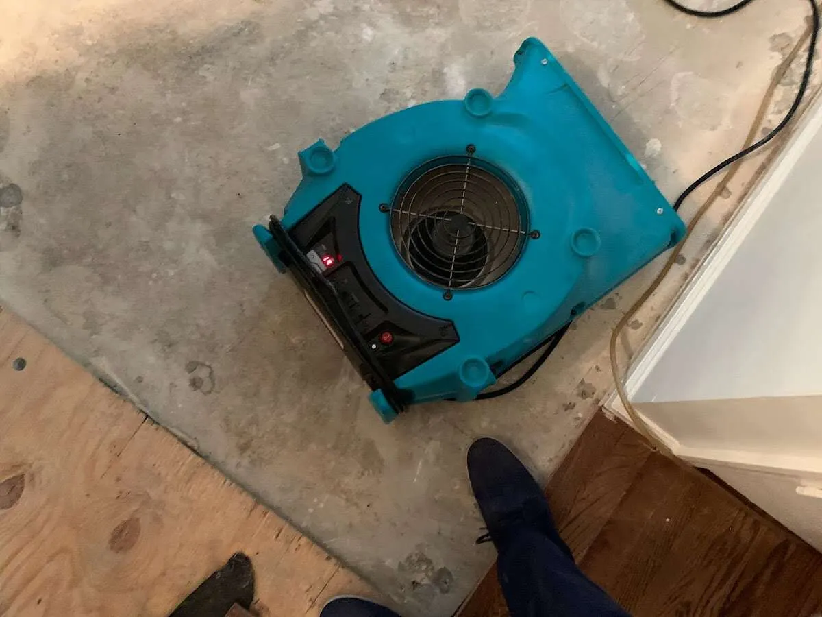 Air mover drying subfloor during Leak Detection & Repair in Greenbelt